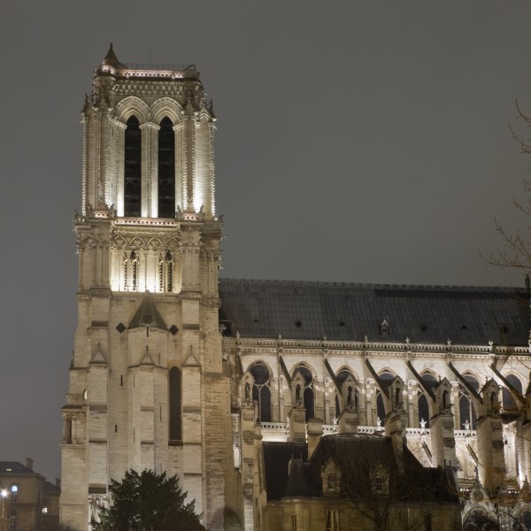 Cathédrale Notre-Dame de Paris - 24