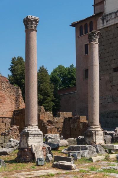 Columns Basilica Aemilia Forum Romanum Rome