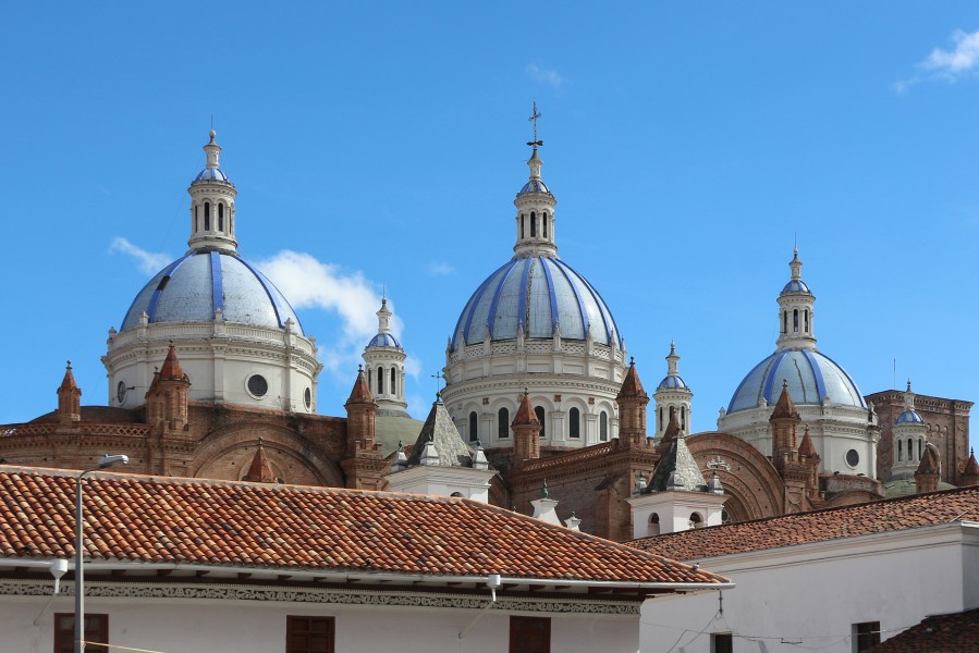 Domes of the Catedral de la Immaculada Concepción