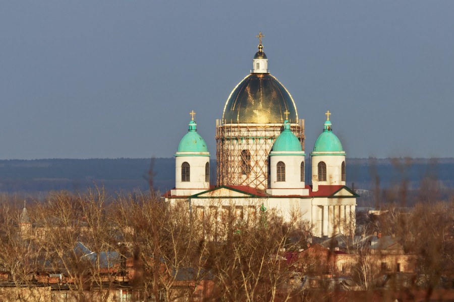 Morshansk (Tambov Oblast) 03-2014 img05 Trinity Cathedral