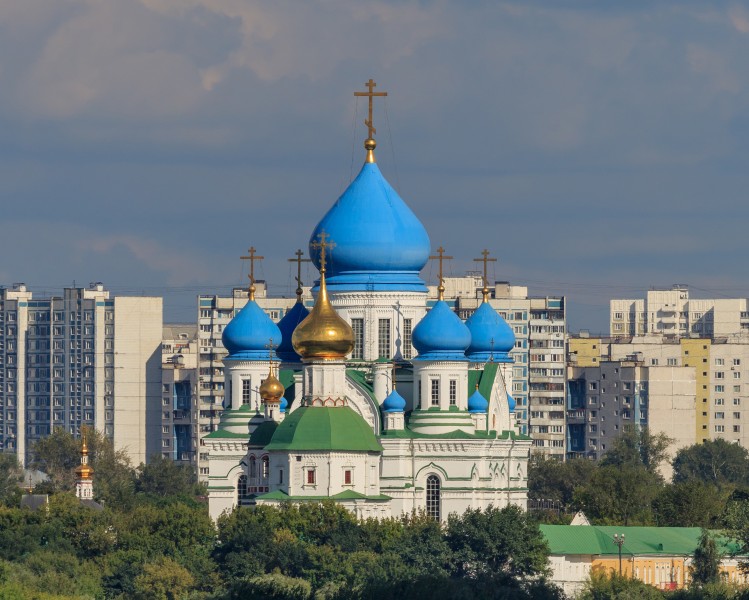 Moscow Perervinsky Monastery remote view 08-2016