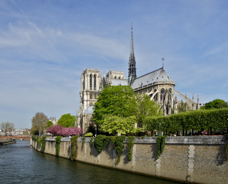 Notre-Dame Seine Pont