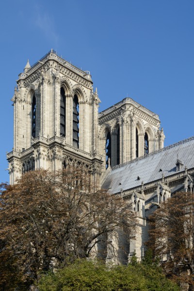 Paris Notre-Dame Towers Southeast View 01