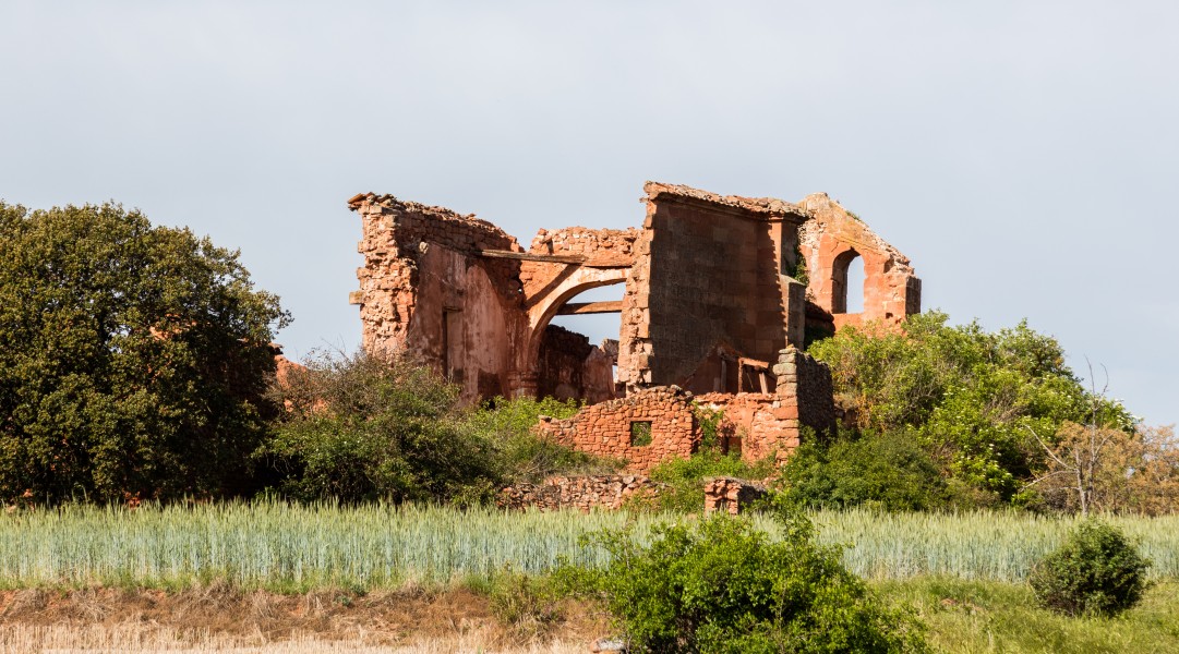 Restos de la iglesia de San Gervasio y Protasio, Rebollosa de los Escuderos, Soria, España, 2017-05-26, DD 18