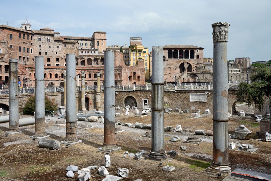 Rome Trajan's Forum Basilica Ulpia columns 2013