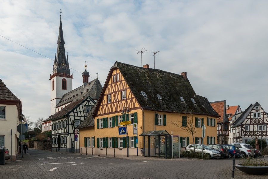 View of Erbach im Rheingau 20150123 1