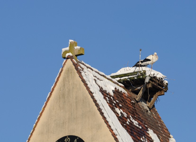 Weil am Rhein - Evangelische Kirche Märkt4