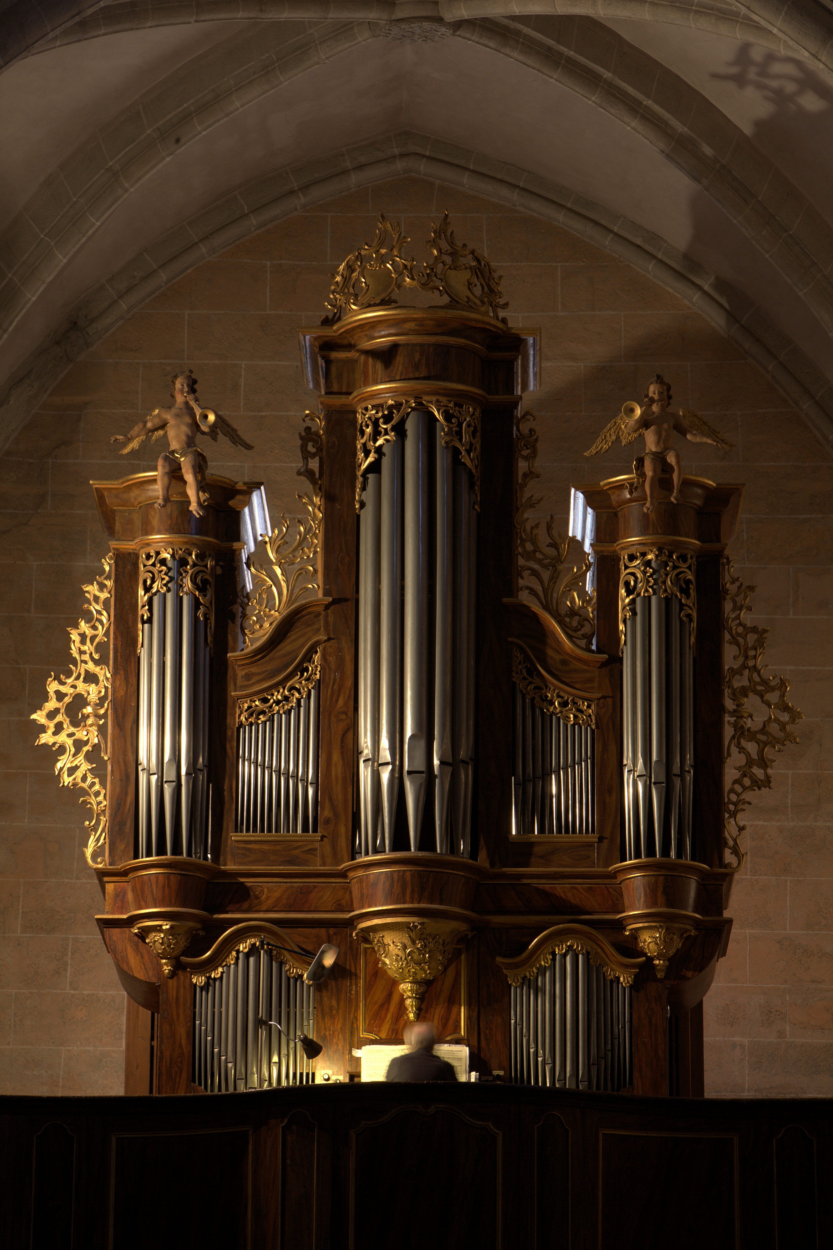 Moudon church organ-IMG 7534