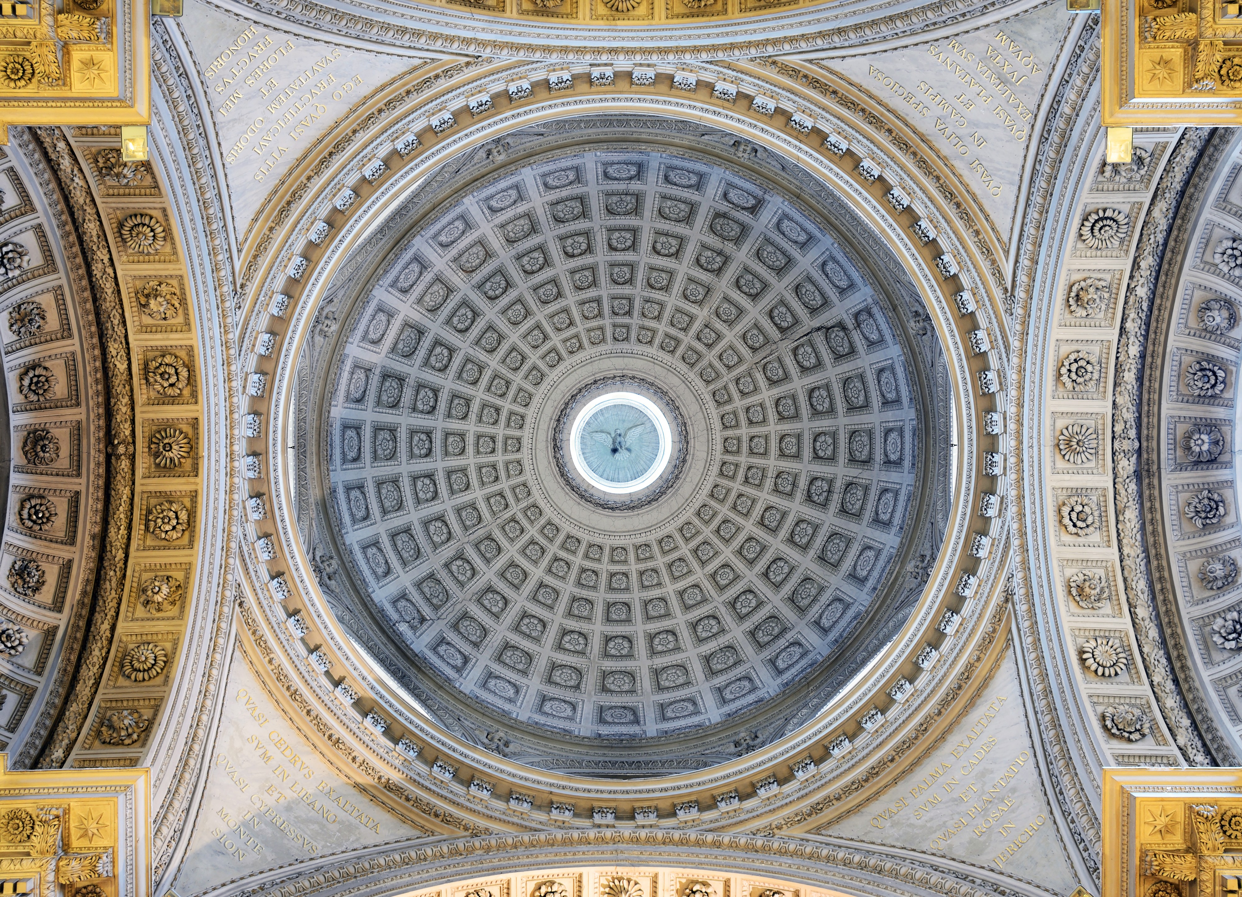 Santa Maria in Campitelli (Rome) - Dome