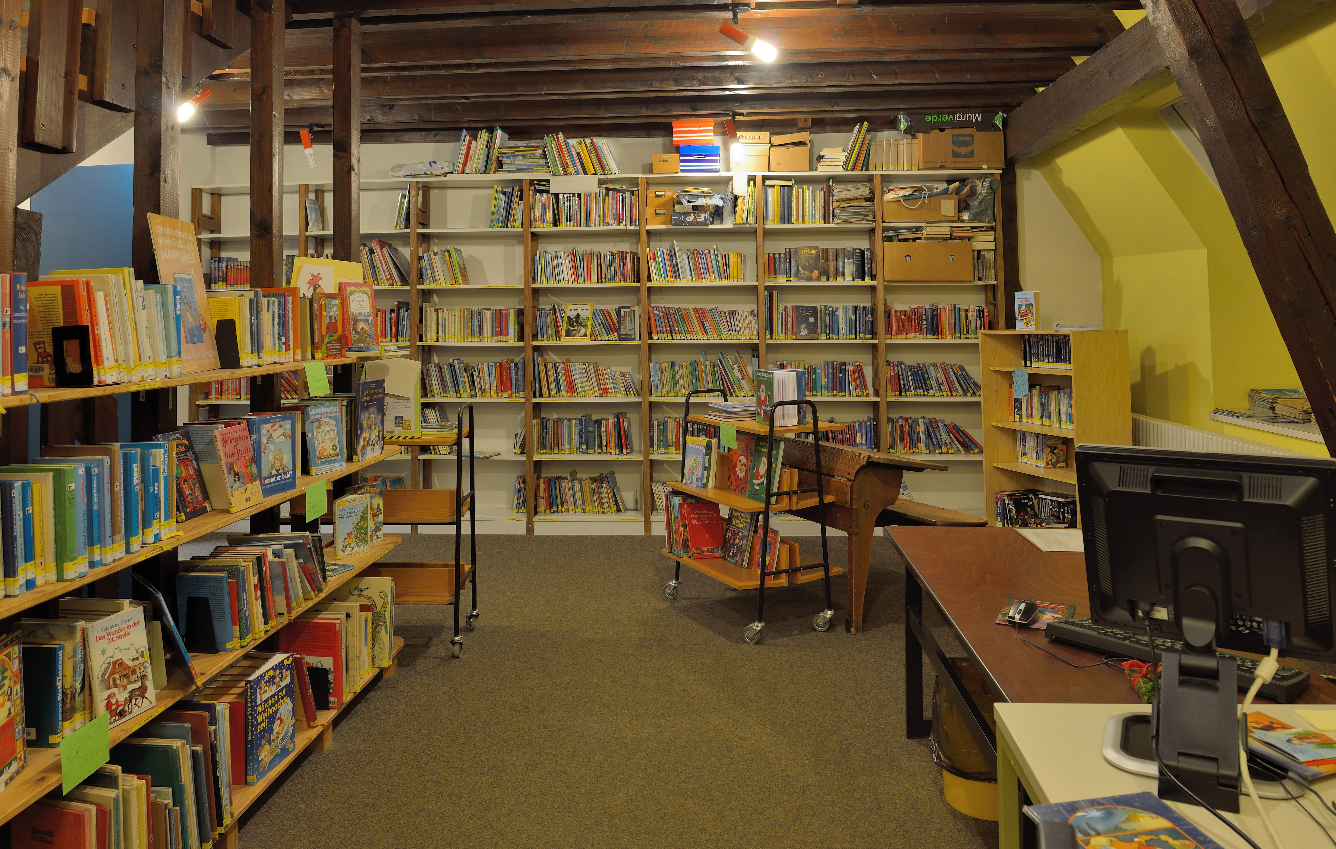 Fridolinschule Bibliothek1