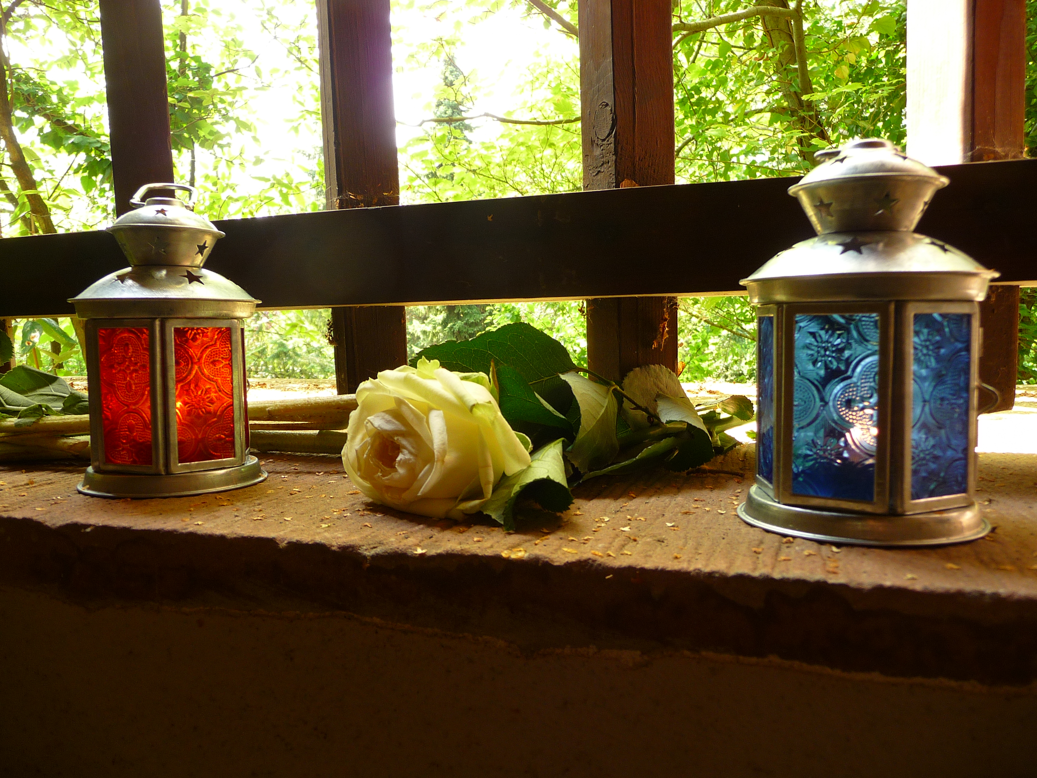 Laternen mit Rose