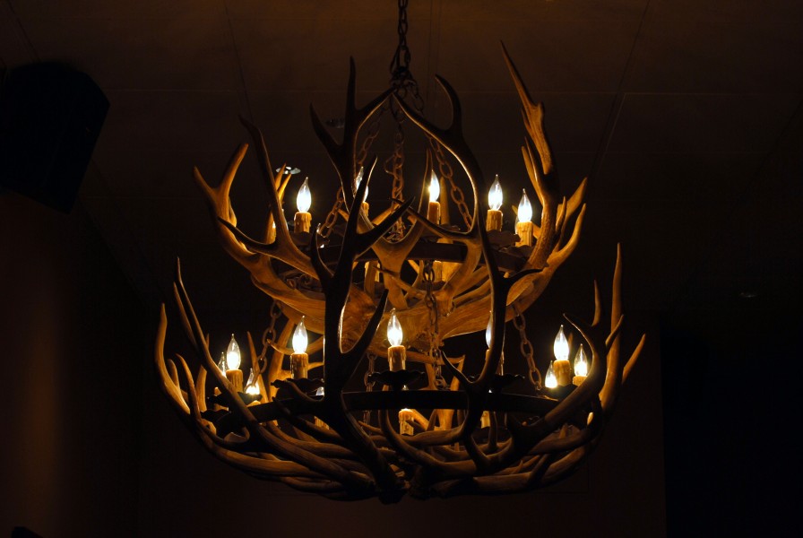 Mooseantlerchandelier3800ppx2