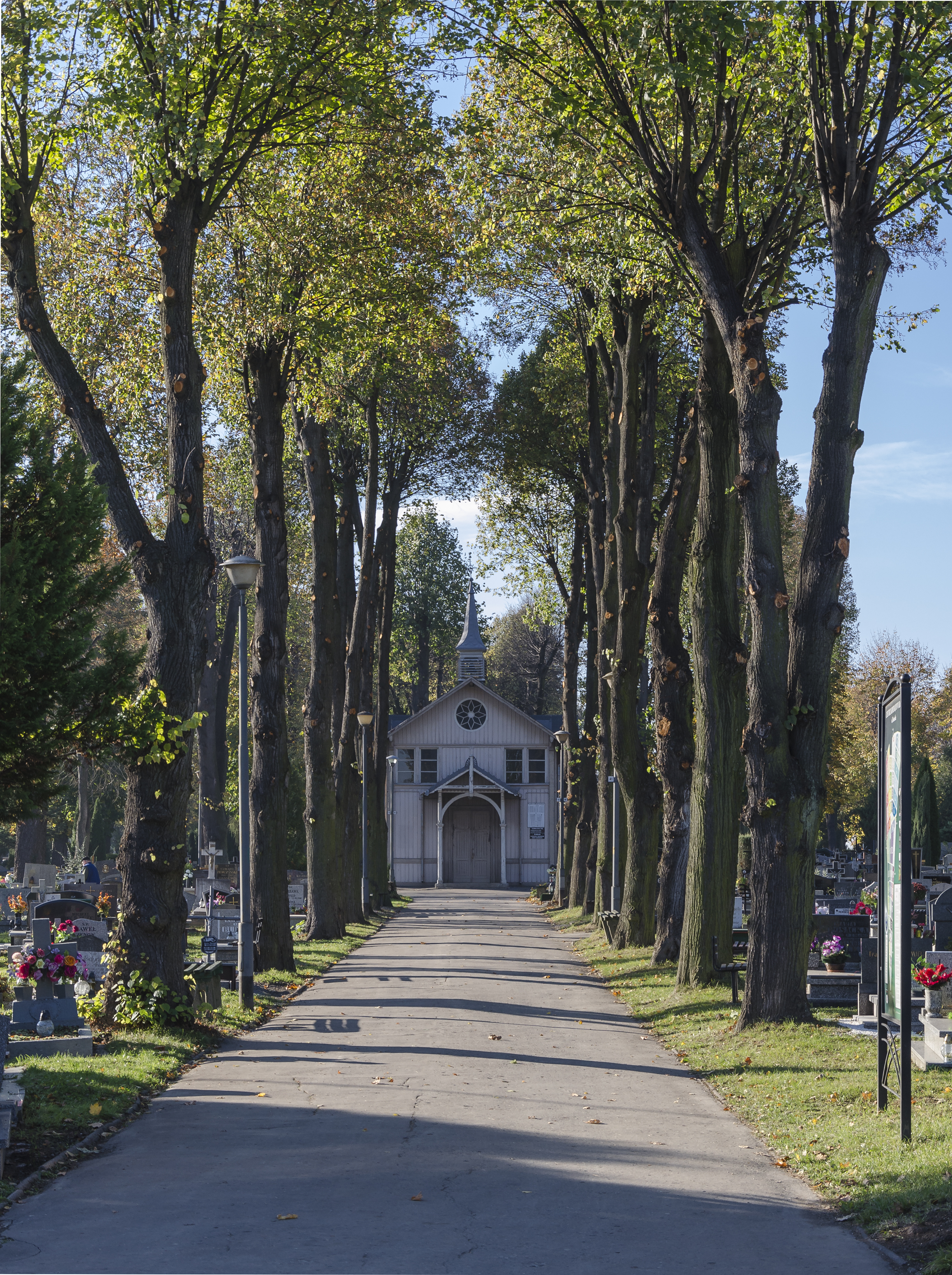 2014 Kłodzko, cmentarz komunalny, główna aleja