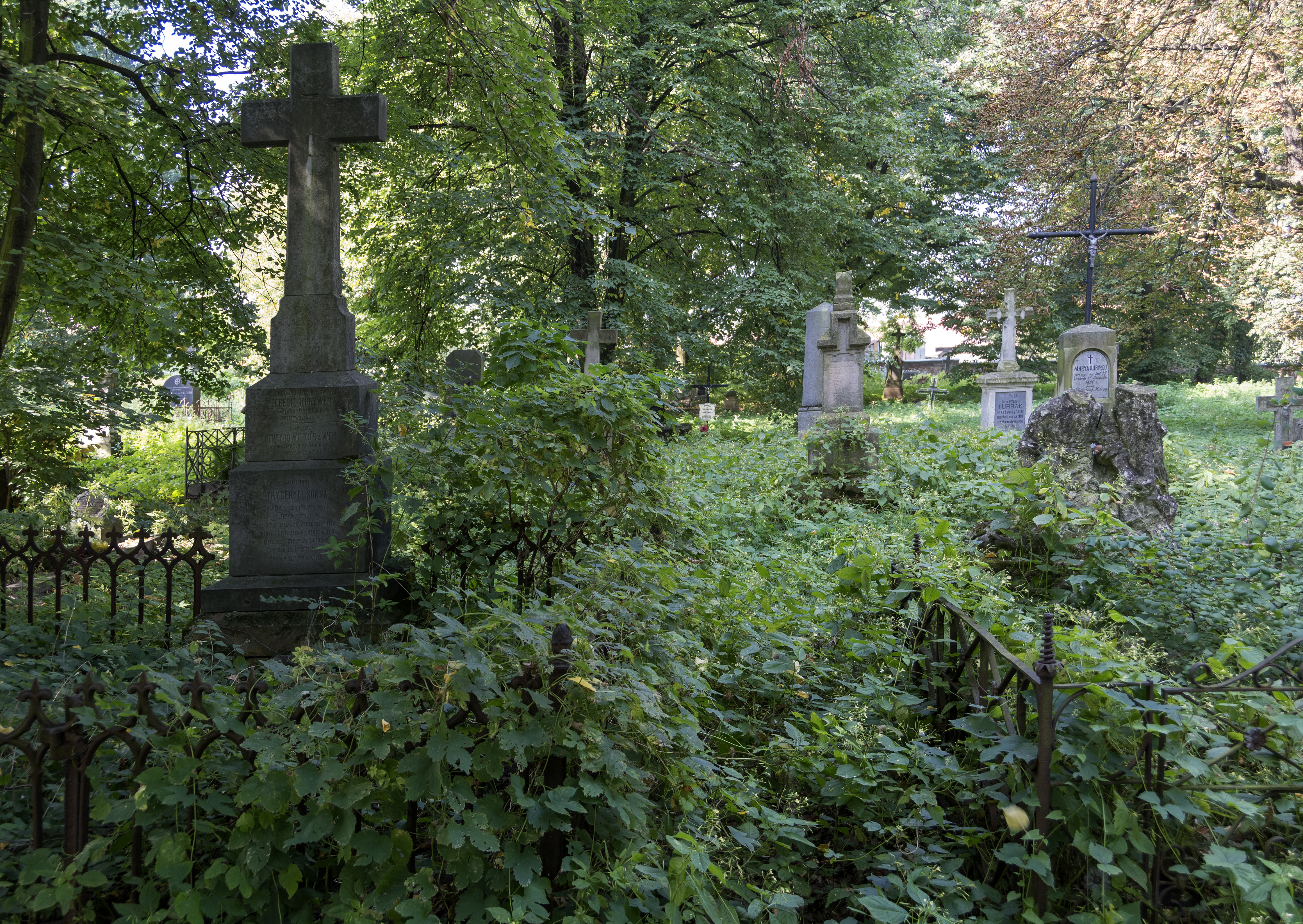 2014 Tarnobrzeg, ul. S. Orła, cmentarz 06
