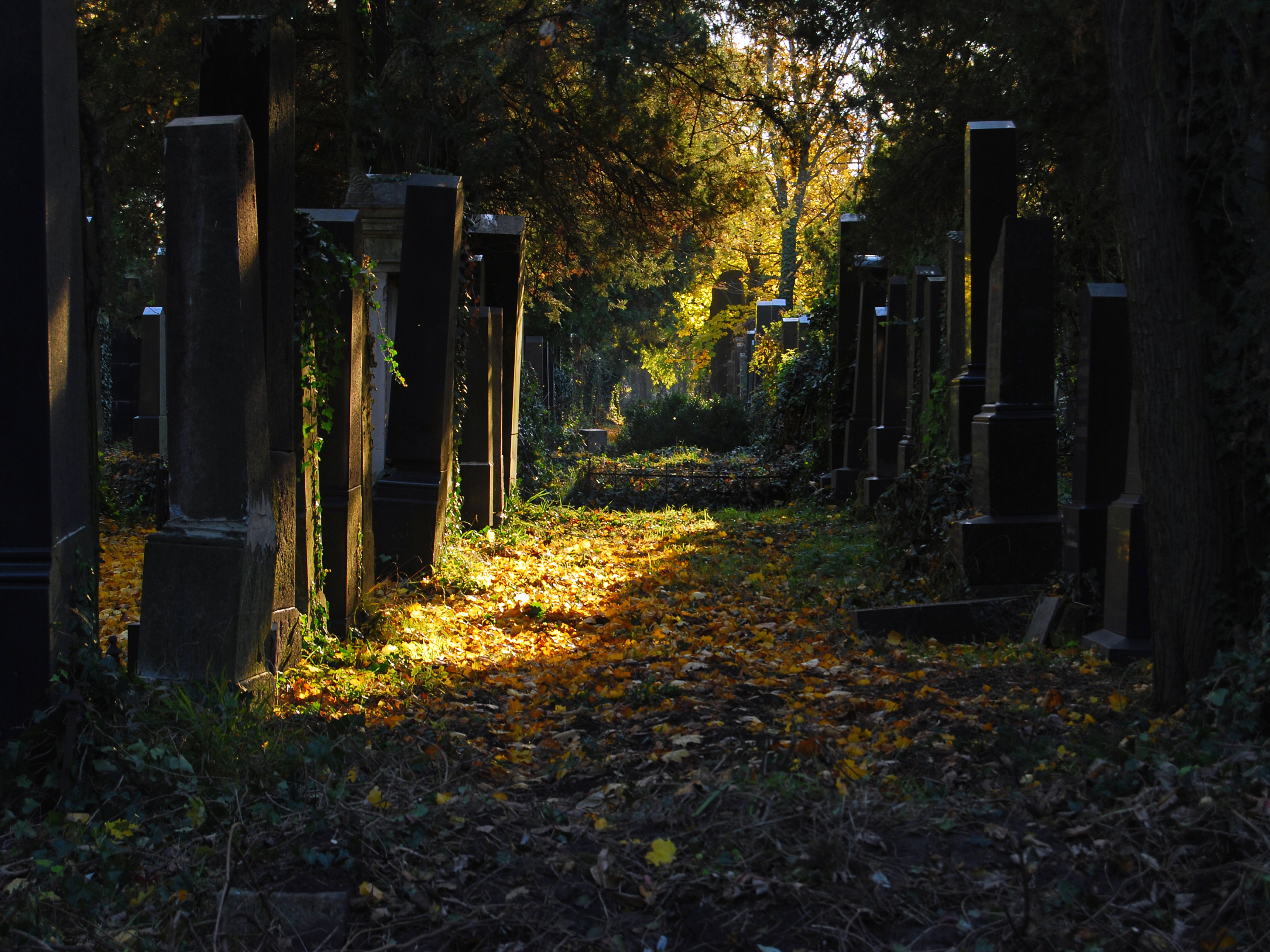 Alter juedischer Friedhof