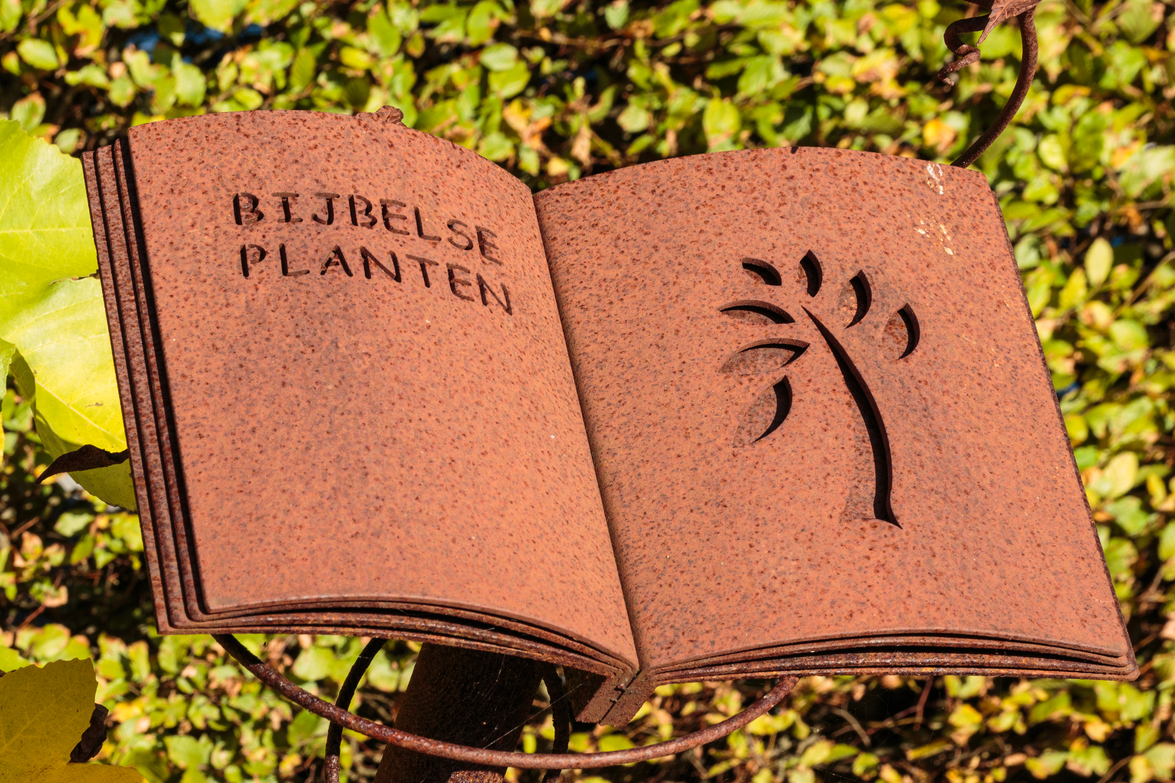 Bijbels plantenboek van cordes staal. Locatie, De Kruidhof Buitenpost 01