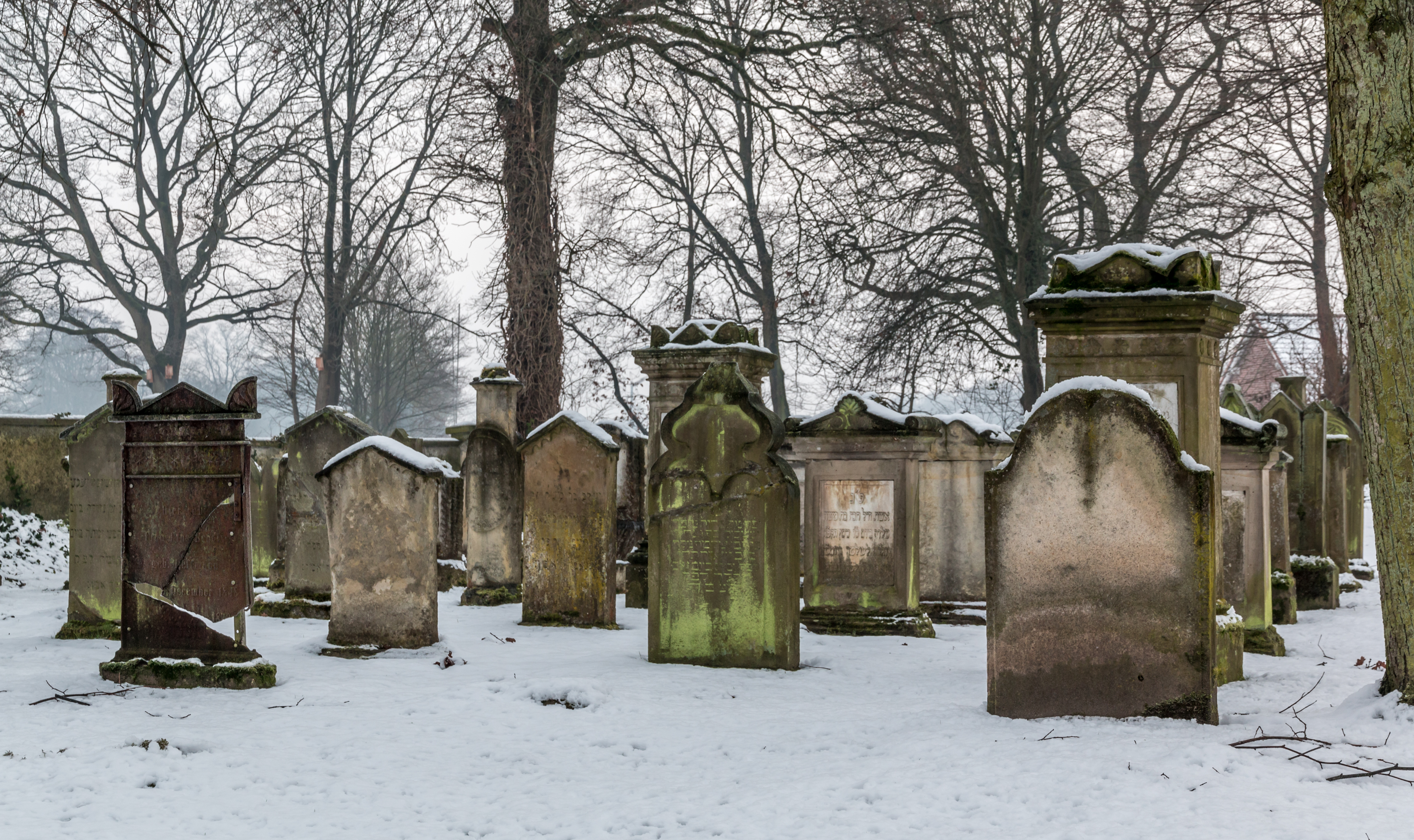 Dülmen, Jüdischer Friedhof -- 2015 -- 4970