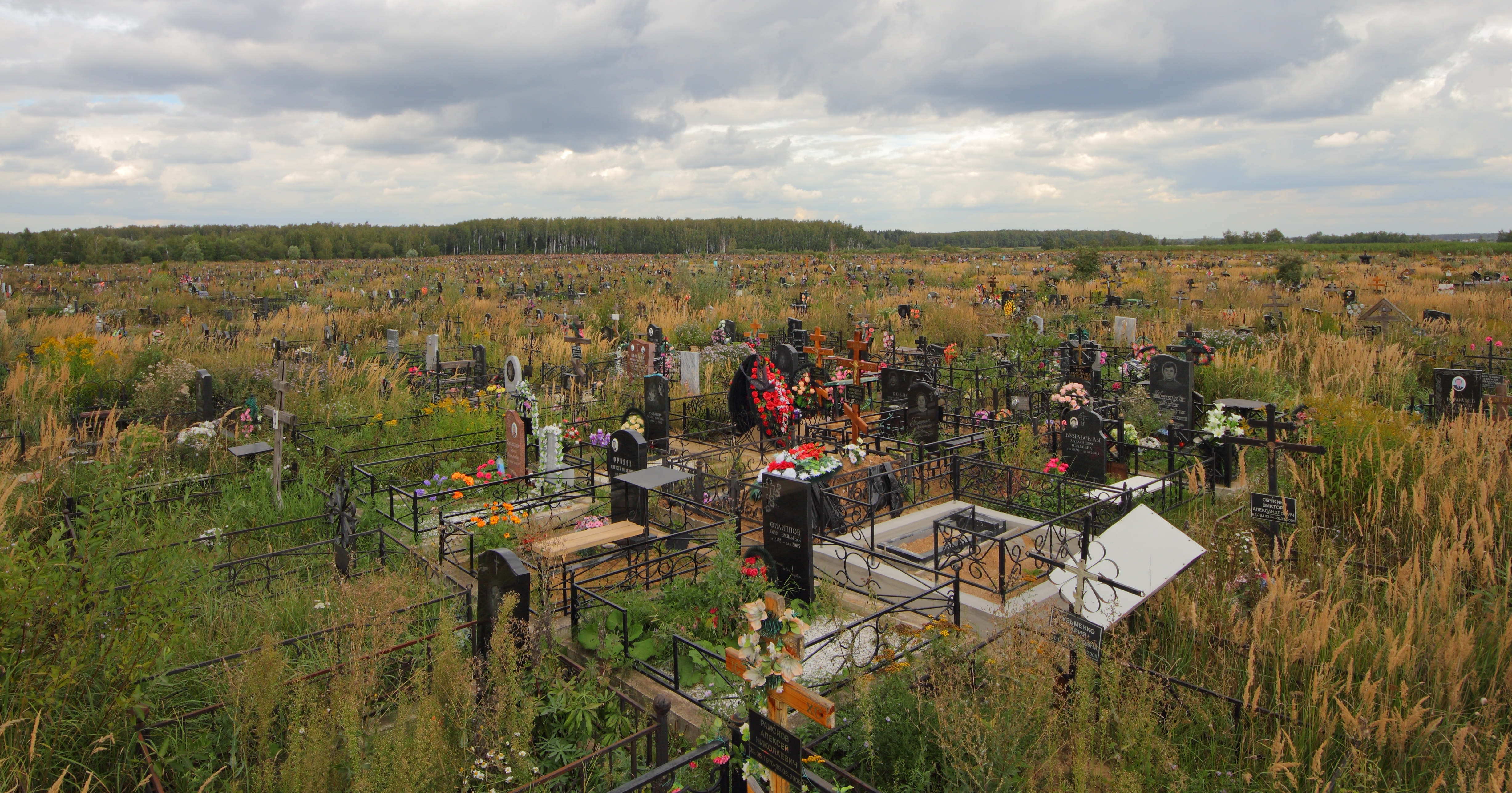 Domodedovo Cemetery Aug12 img03