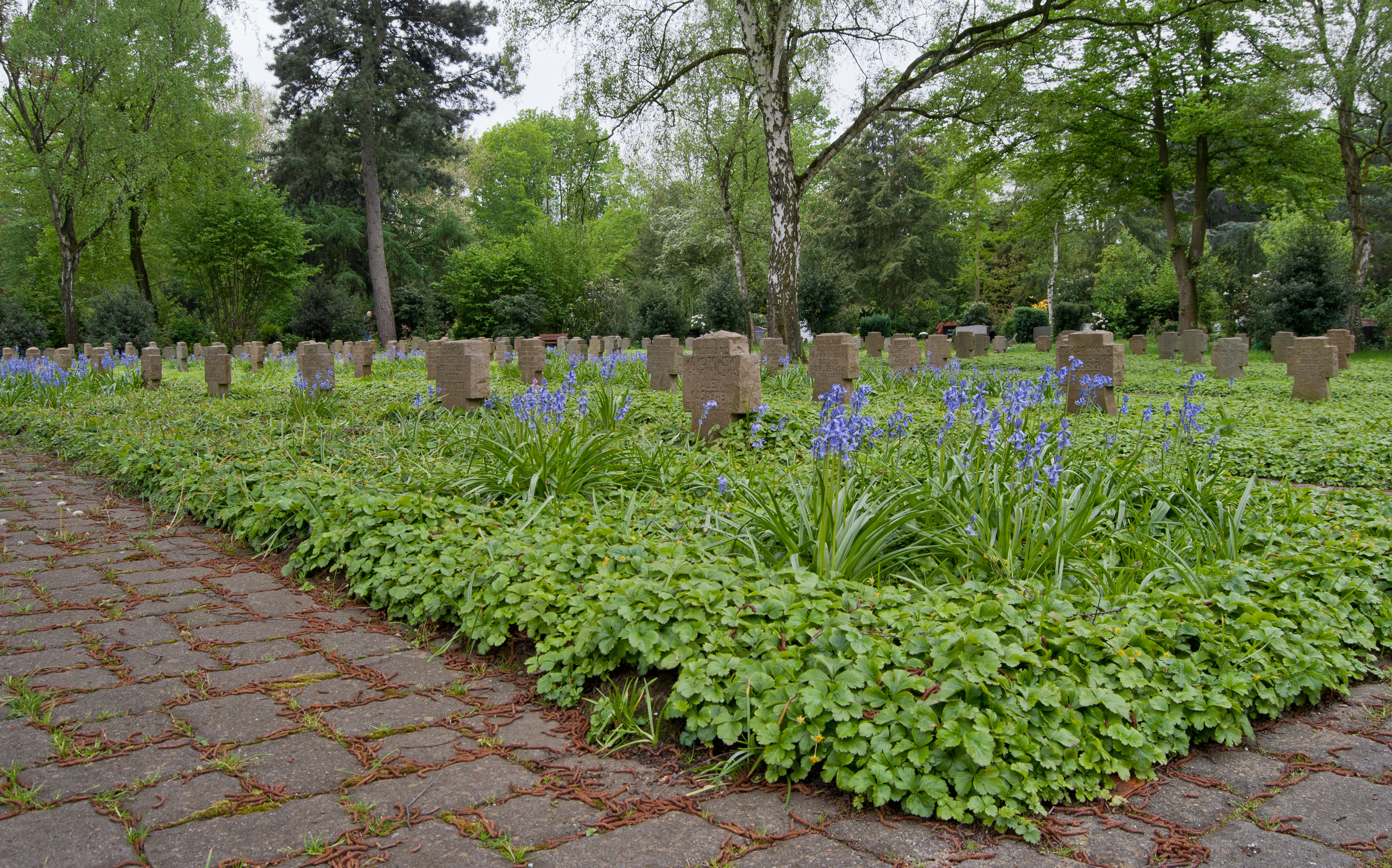 Duisburg, Aldenrade, Friedhof, 2012-05 CN-03