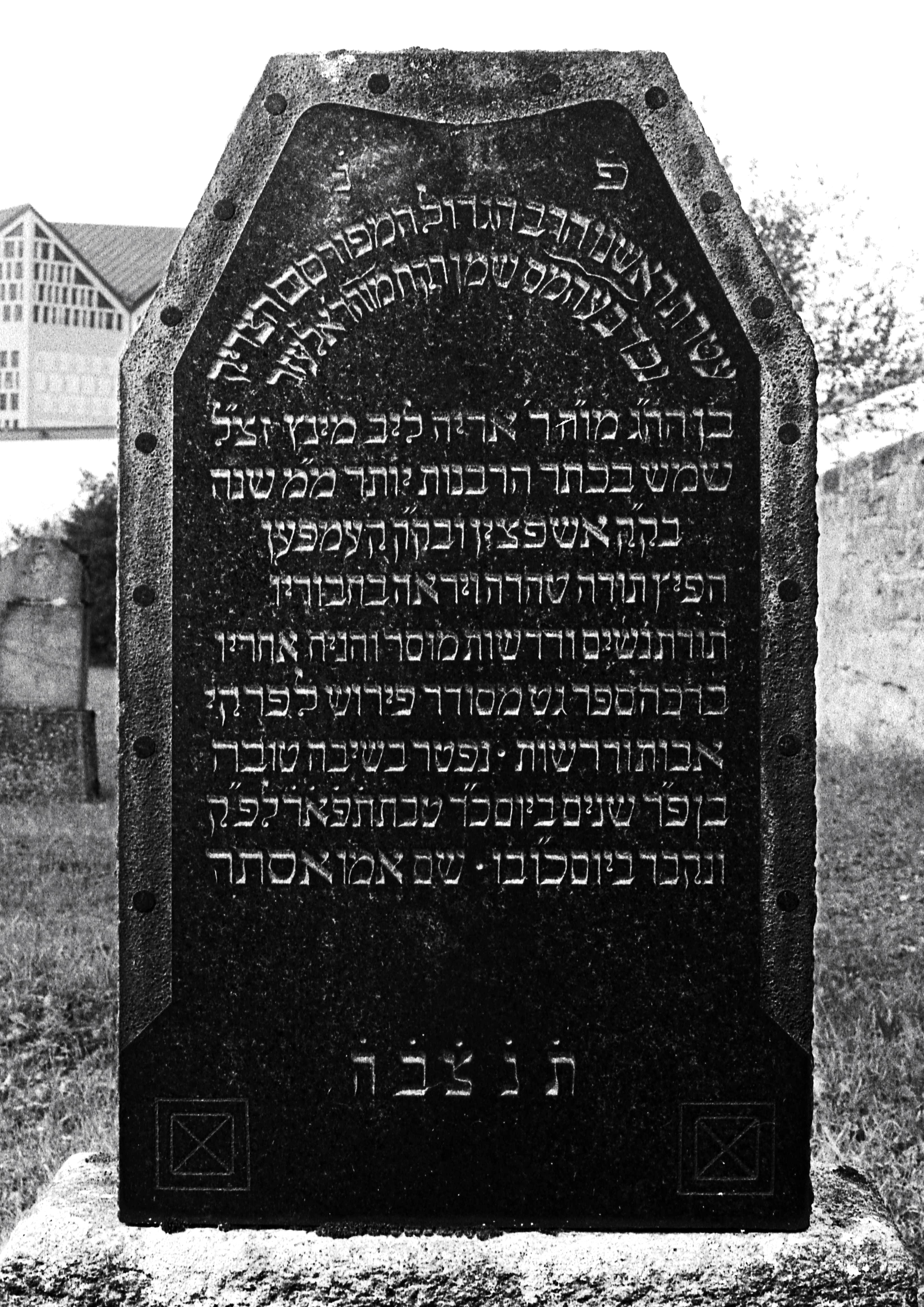 Grabstein Lazar Münz