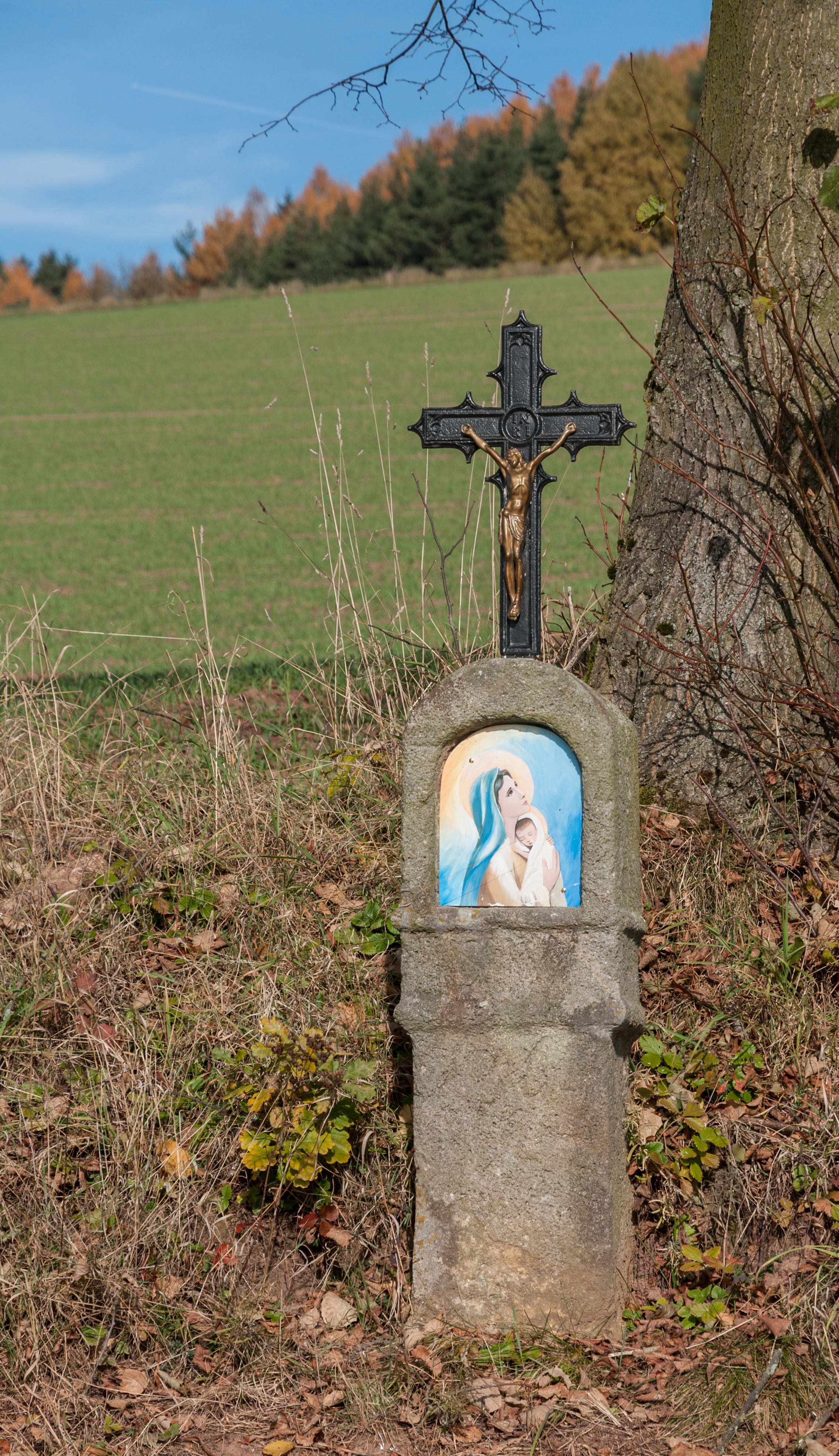 Hirschau-DSC 1800