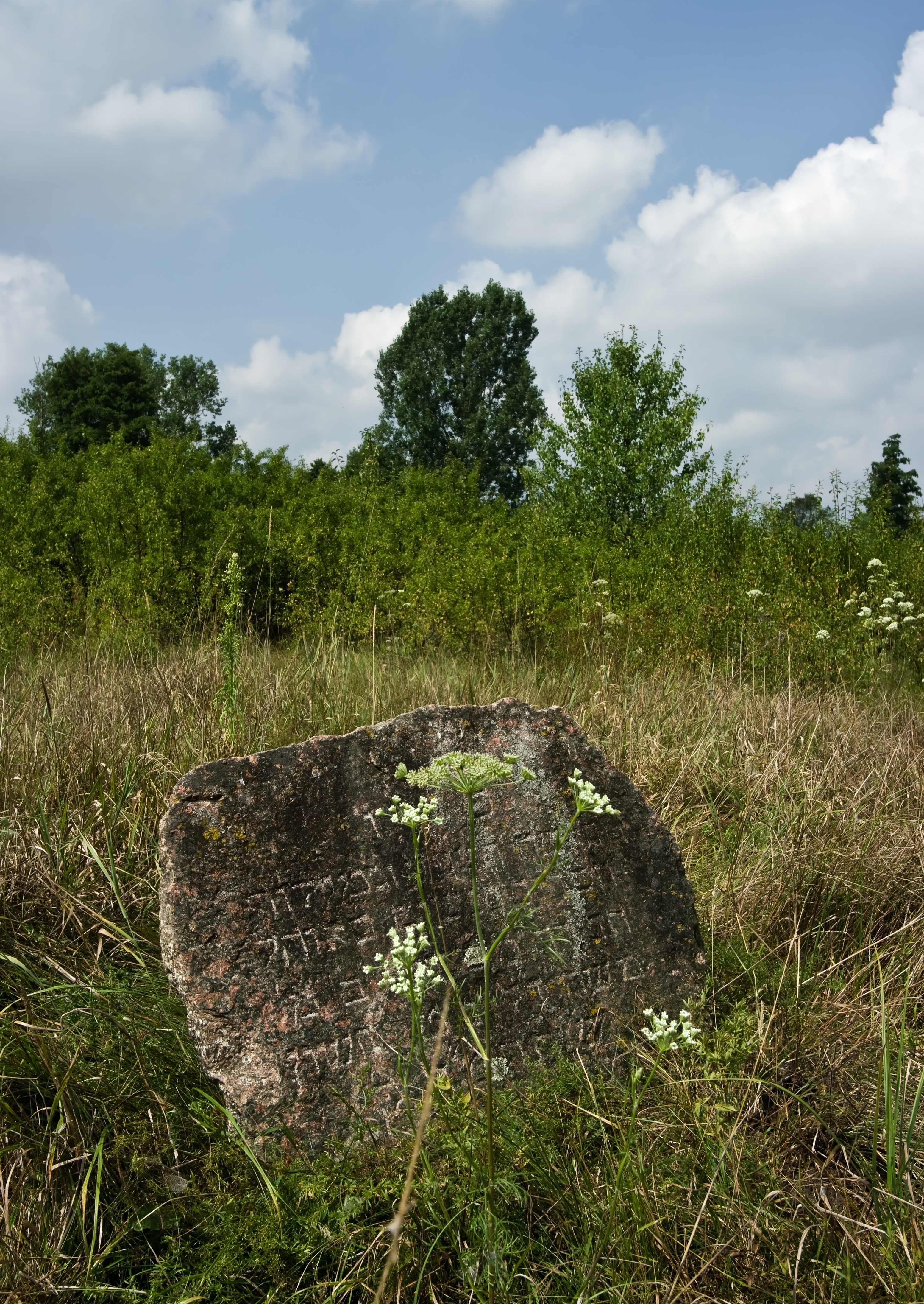 Jewish cemetery Bolimow IMGP6874