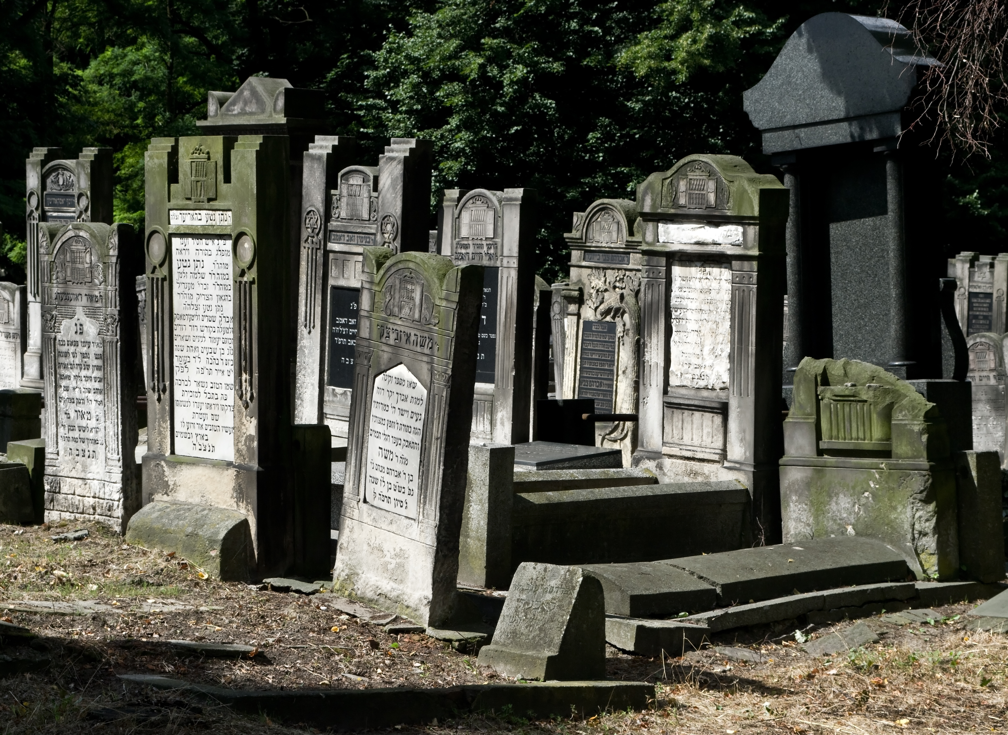 Jewish cemetery Lodz IMGP6736