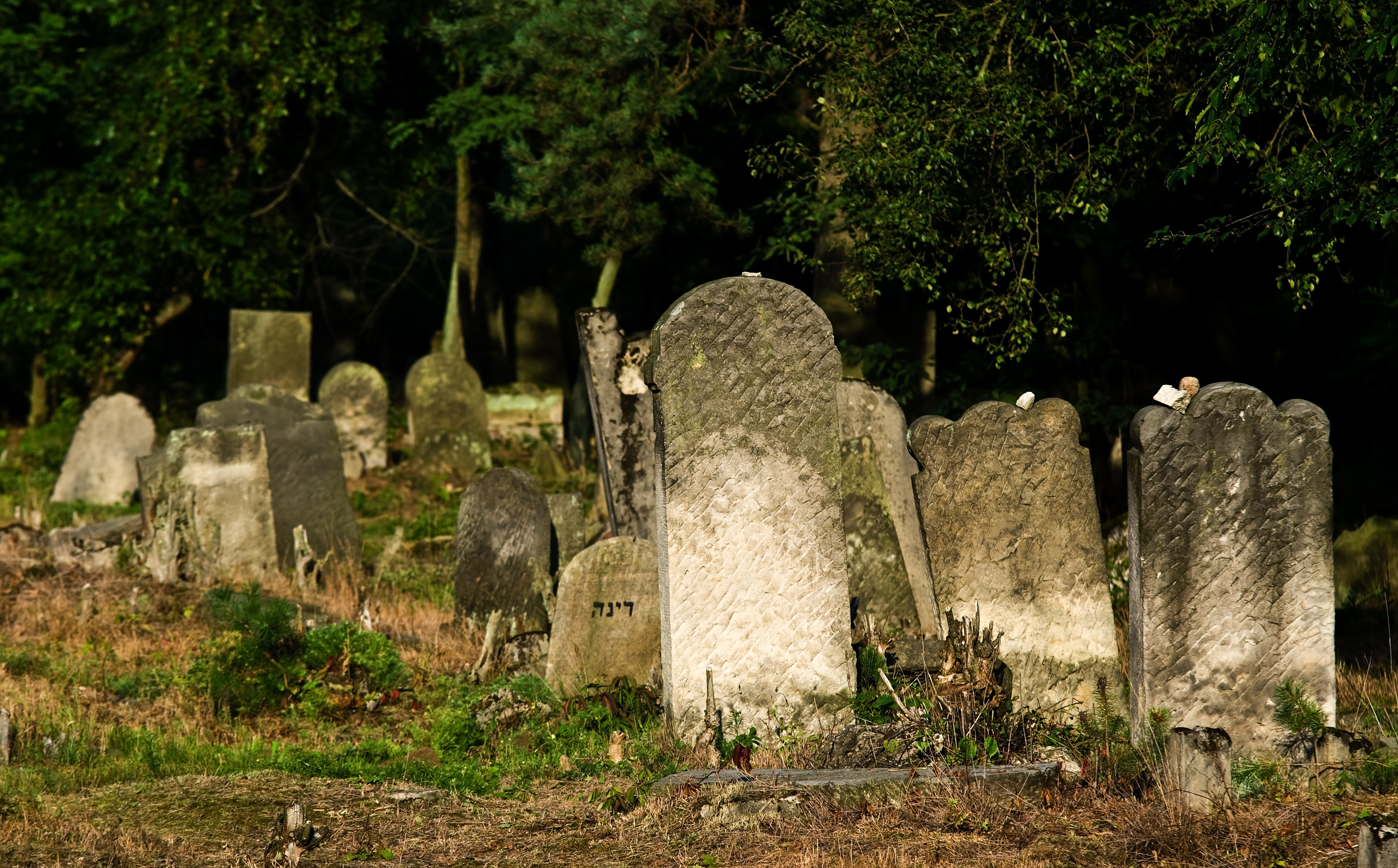 Jewish cemetery Otwock Karczew Anielin IMGP6709