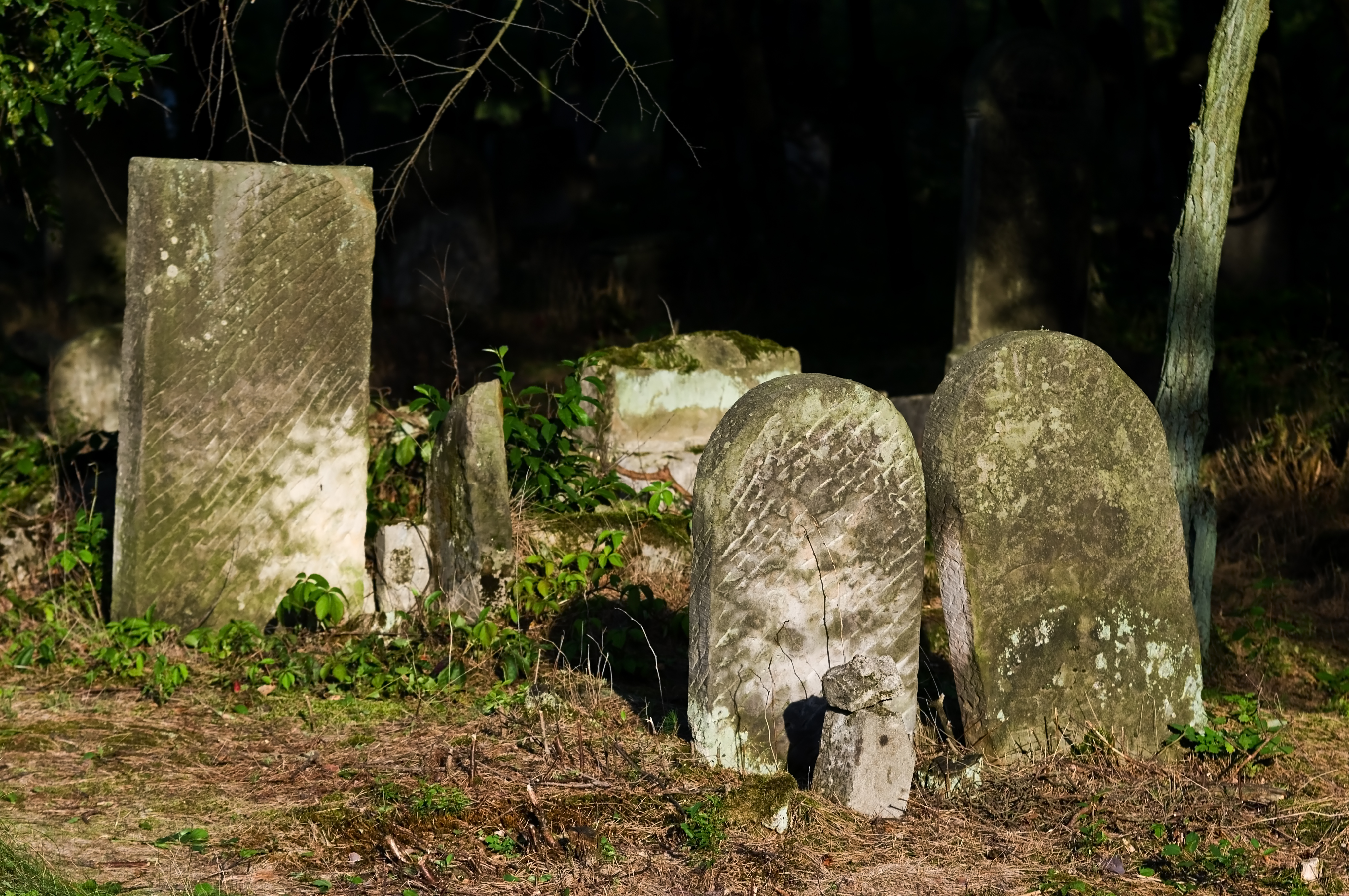 Jewish cemetery Otwock Karczew Anielin IMGP6733