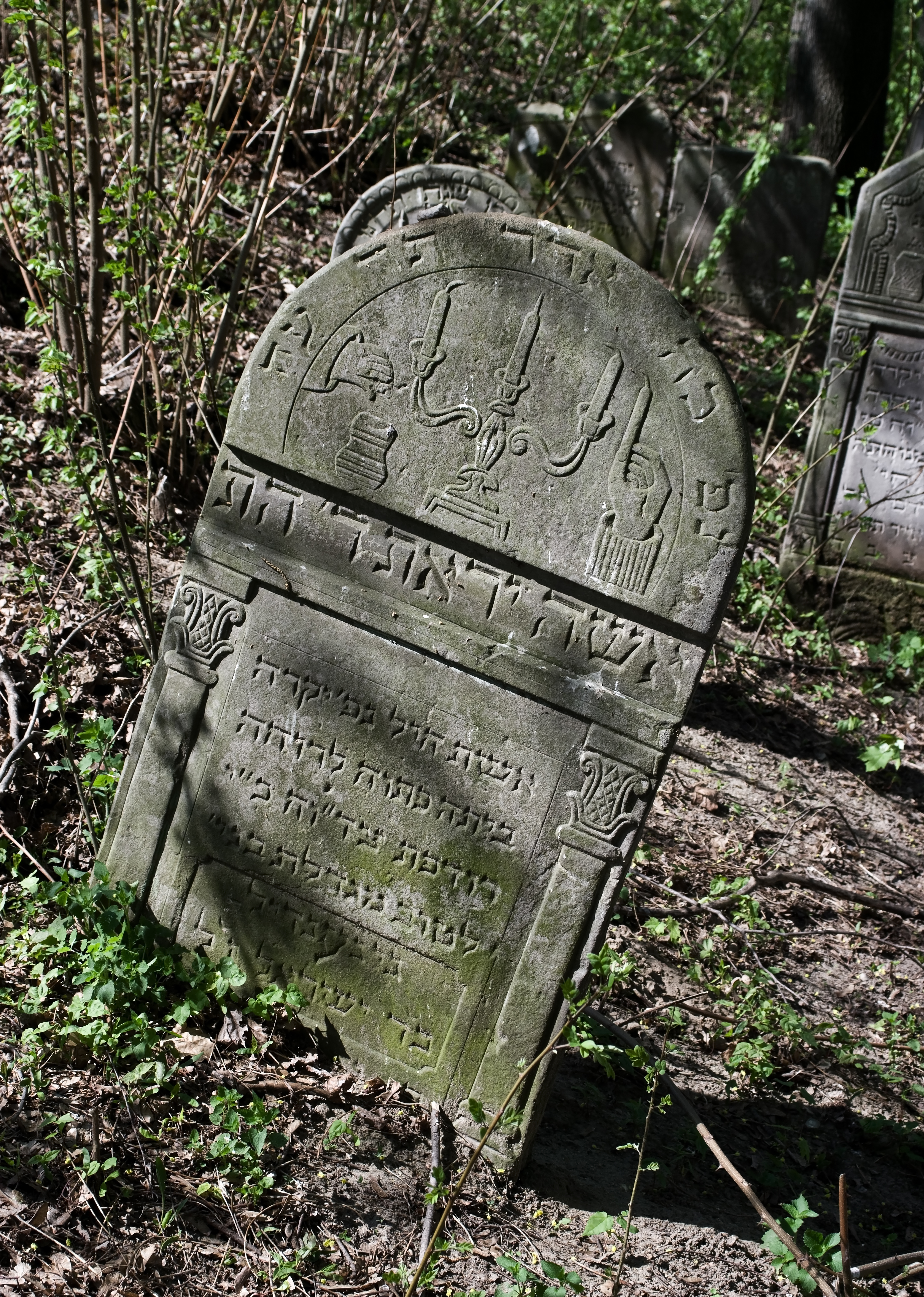 Jewish cemetery Zelechow IMGP3179