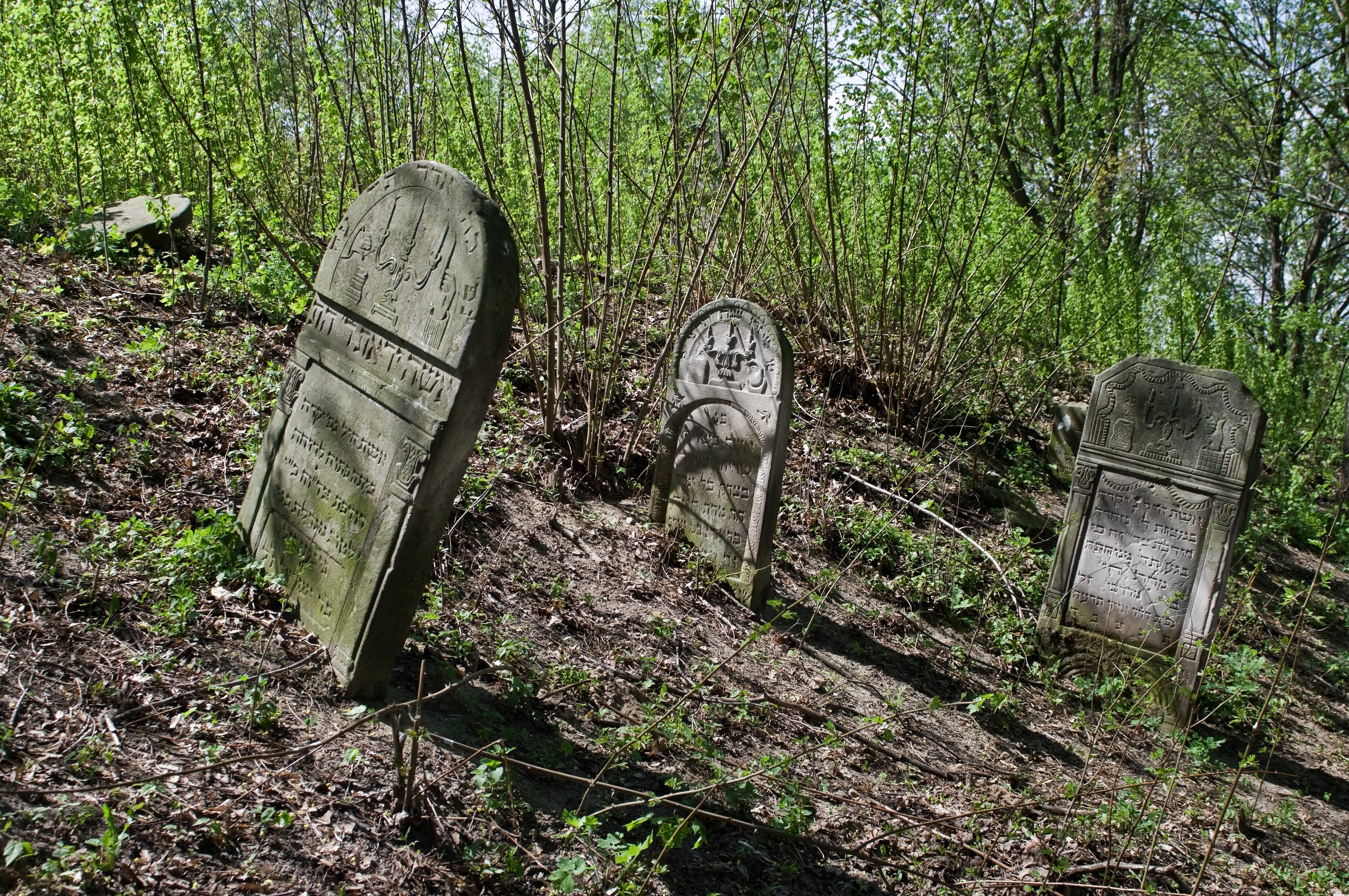Jewish cemetery Zelechow IMGP3182