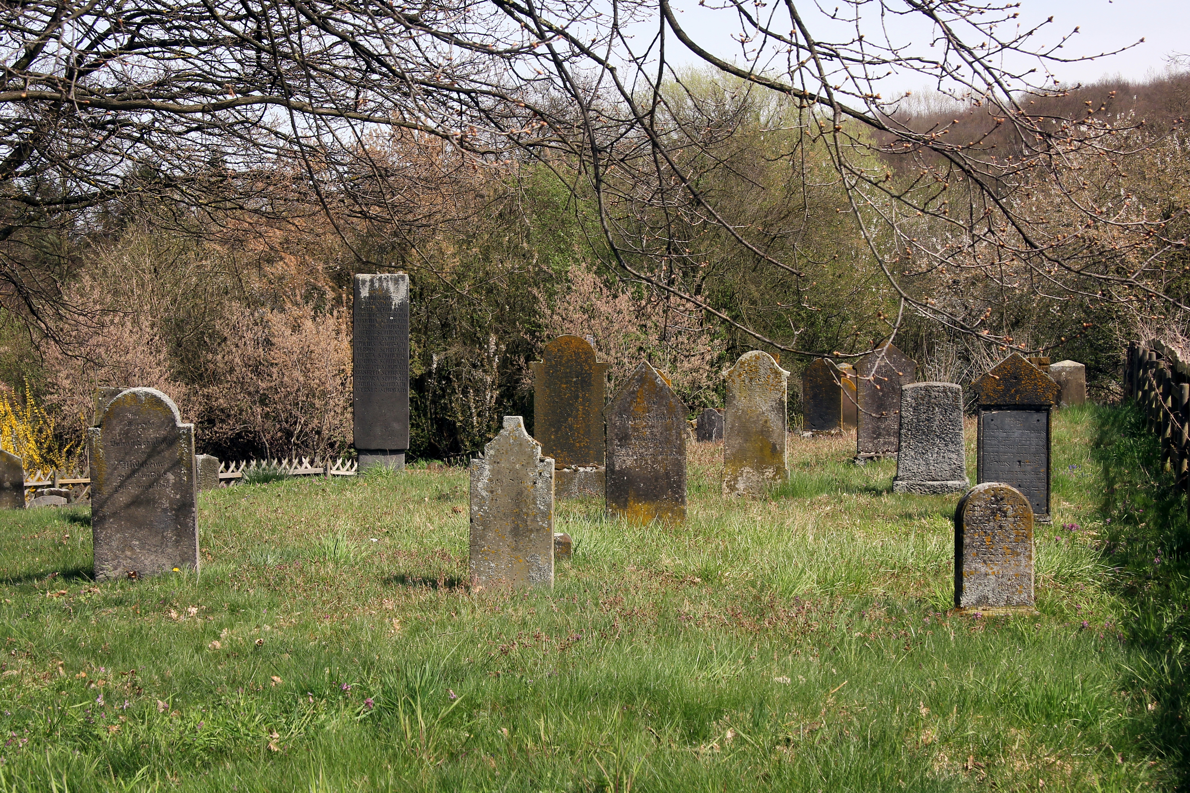 Mülheim-Kärlich, Jüdischer Friedhof (2015-04-12)