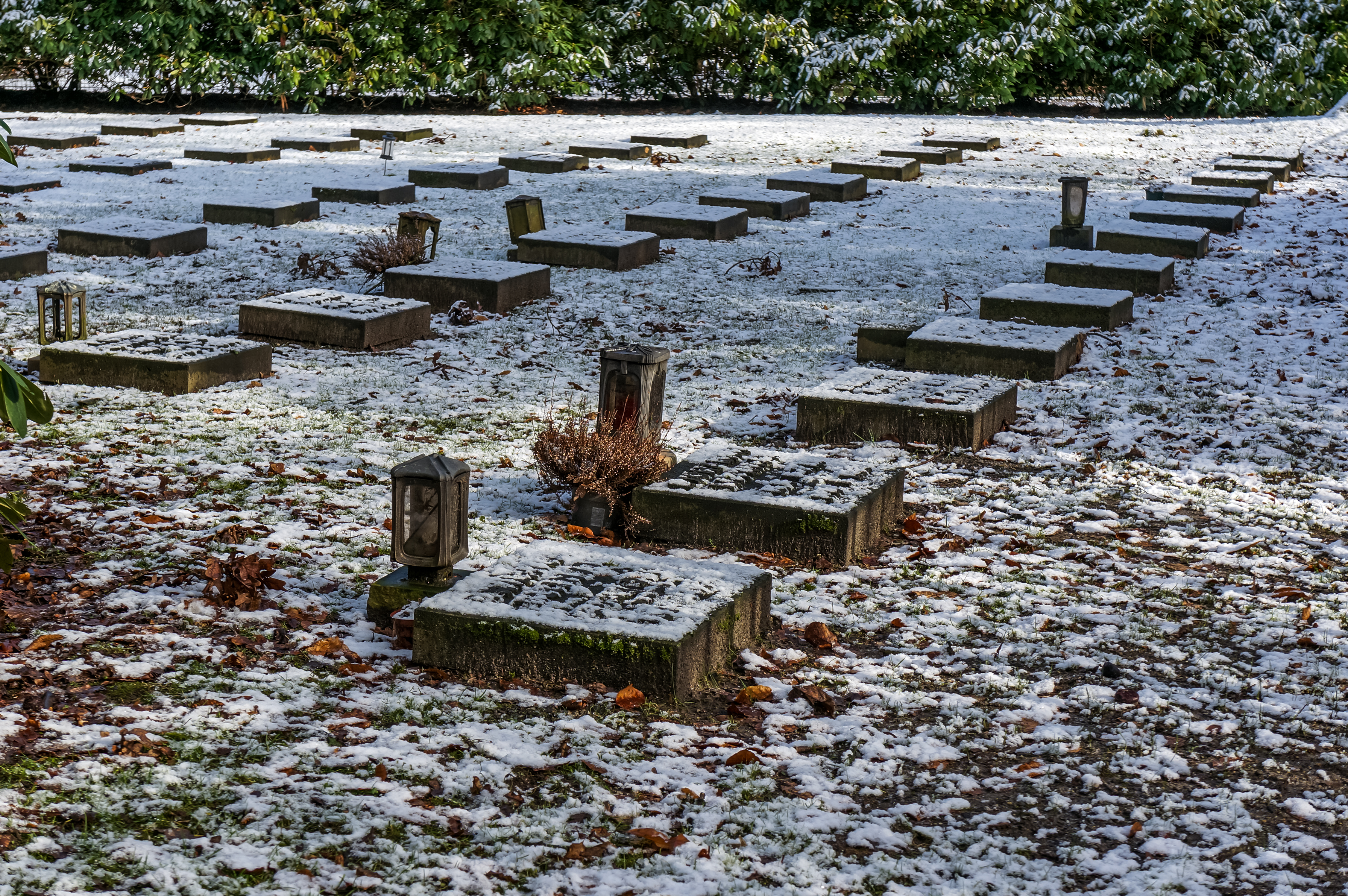 Münster, Park Sentmaring -- 2015 -- 01065