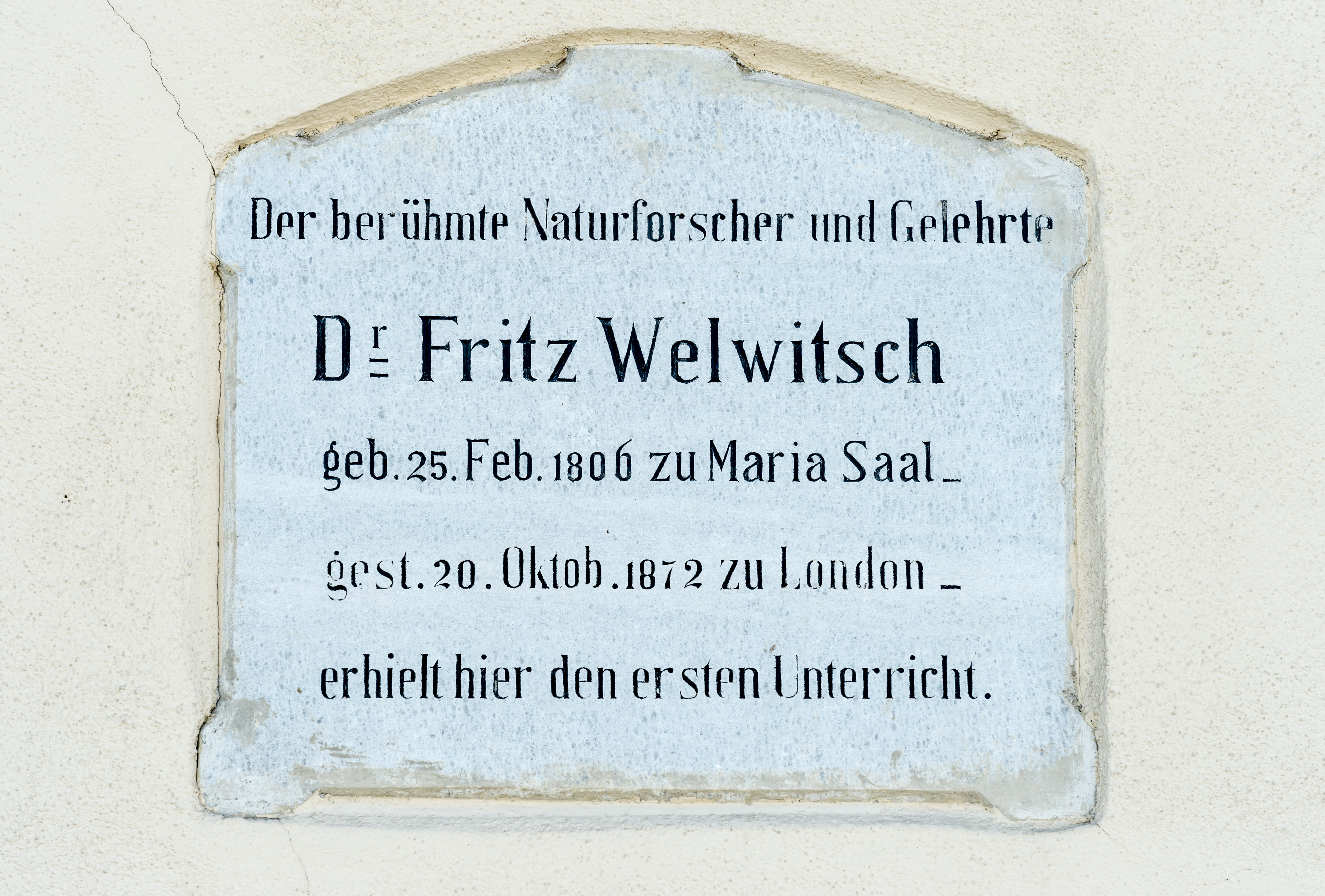 Maria Saal Hauptplatz 6 Gedenktafel Dr Fritz Welwitsch 03072017 5315