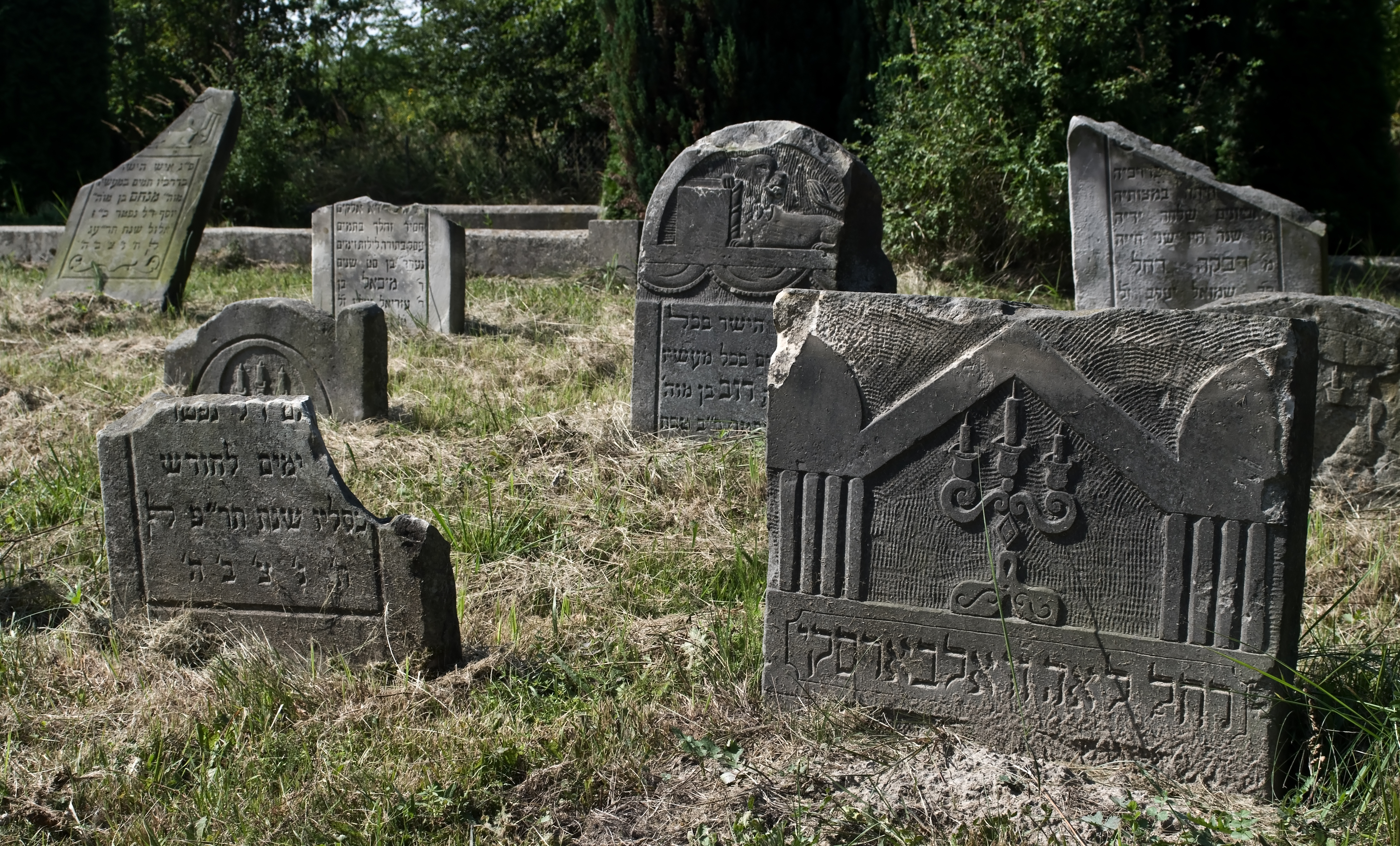New Jewish cemetery Skierniewice IMGP7274