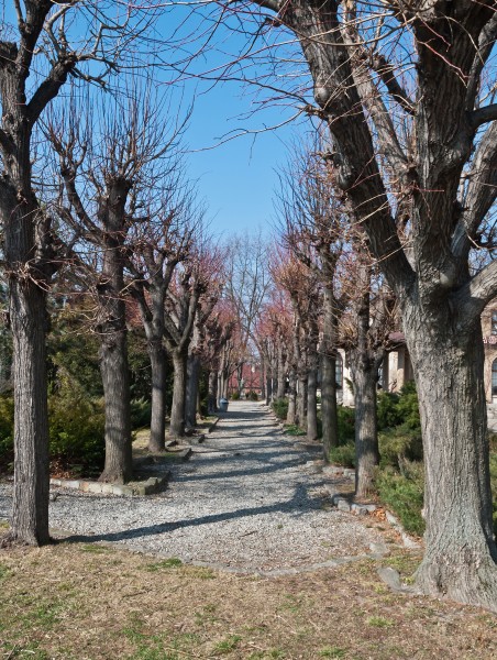 2014 Otmuchów, zespół zamkowy, park 03