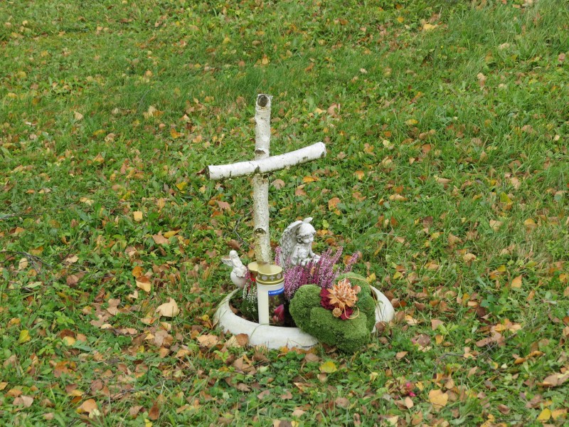2017-10-31 (377) Grave at Hauptfriedhof St. Pölten