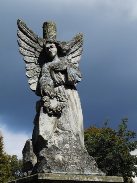 Angel - cemetery in Sanok