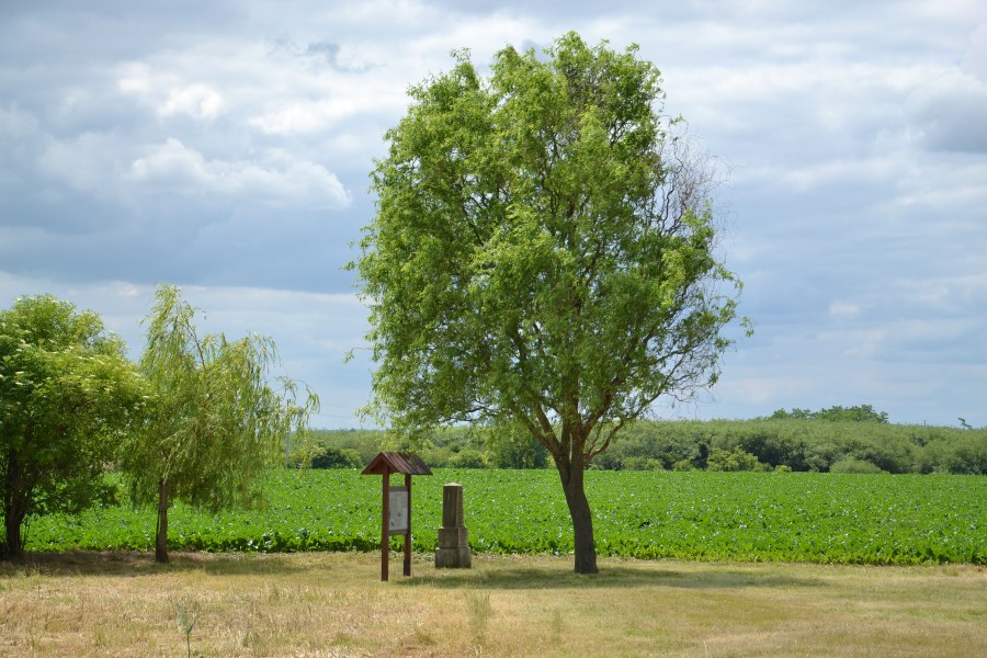 Battlefield in Tovačov - monument 02