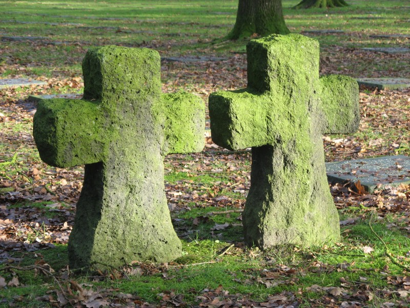 Crosses, military cemetery, Vladslo, Flanders