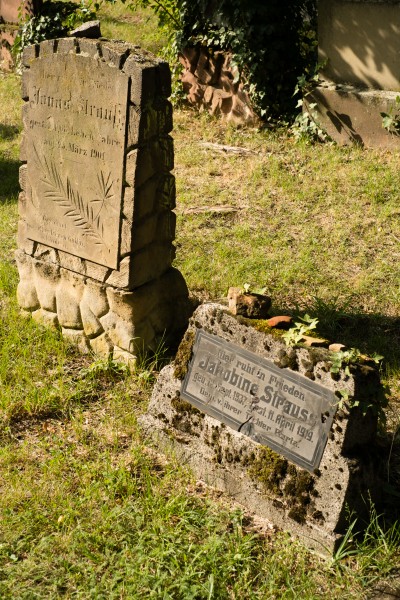 Jüdischer Friedhof Worms-4227