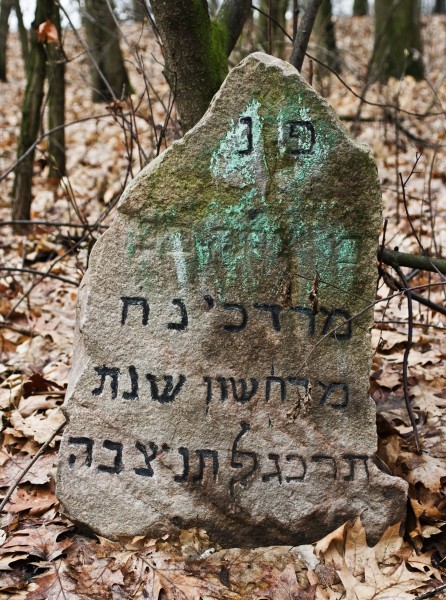 Jewish Cemetery Kock IMGP2352