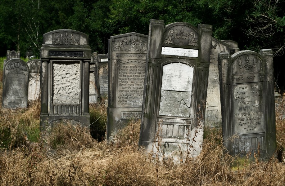 Jewish cemetery Lodz IMGP6632