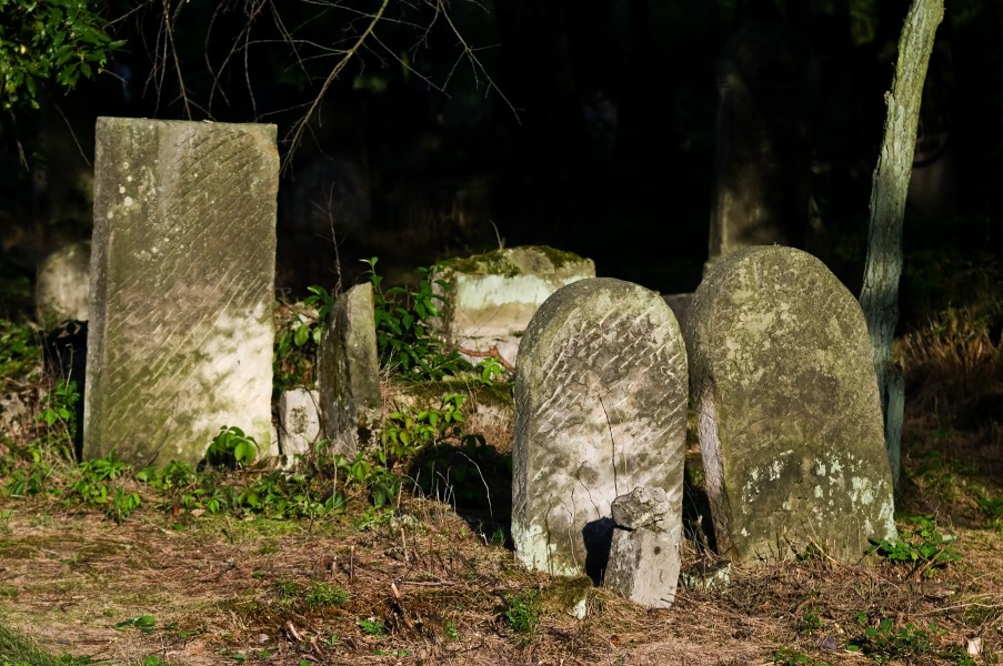 Jewish cemetery Otwock Karczew Anielin IMGP6733