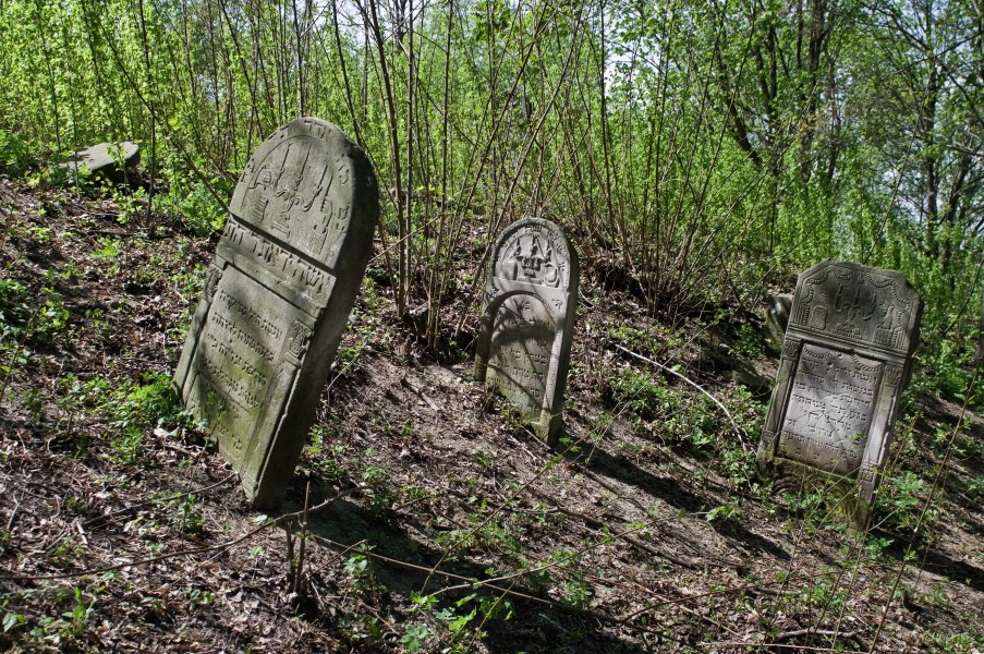 Jewish cemetery Zelechow IMGP3182