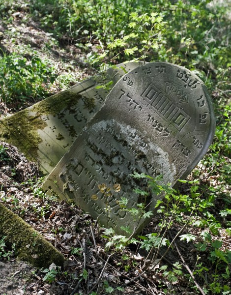 Jewish cemetery Zelechow IMGP3227