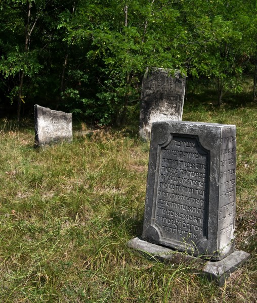 Jewish cemetery Zyrardow IMGP7314