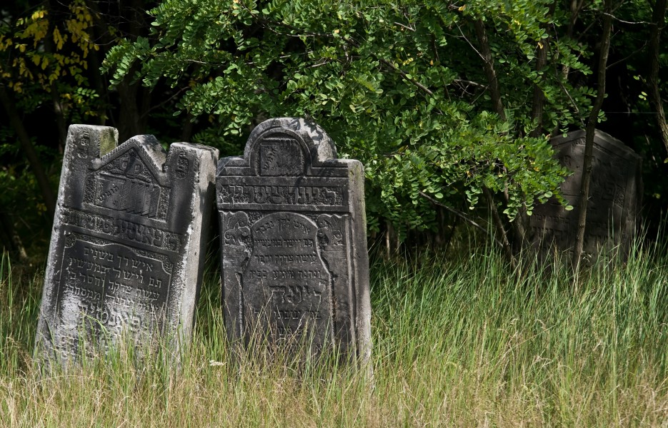 Jewish cemetery Zyrardow IMGP7376