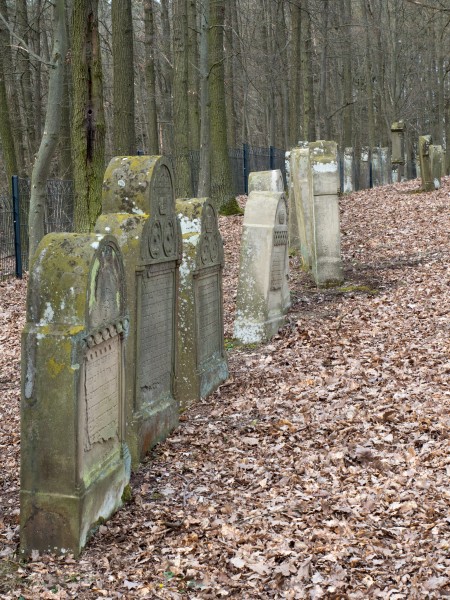 Limbach Judenfriedhof 3300453