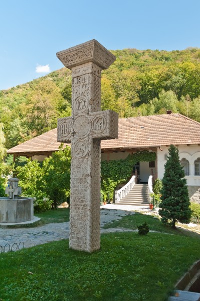 Mănăstirea Turnu 002 Romania